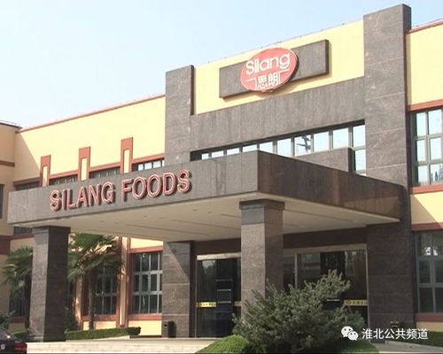 以食品为媒 引凤凰来栖 招商引资硕果累累 改革潮头话凤凰