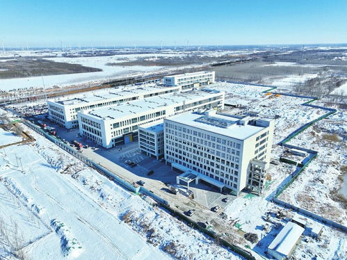 招引强企创名区 从“皇家小虎华北超级工厂”看食品产业园区的发展新路径——食品产业园招商局实践启示